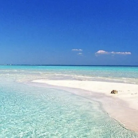 Ξενοδοχείο Aurora Porto Cesareo